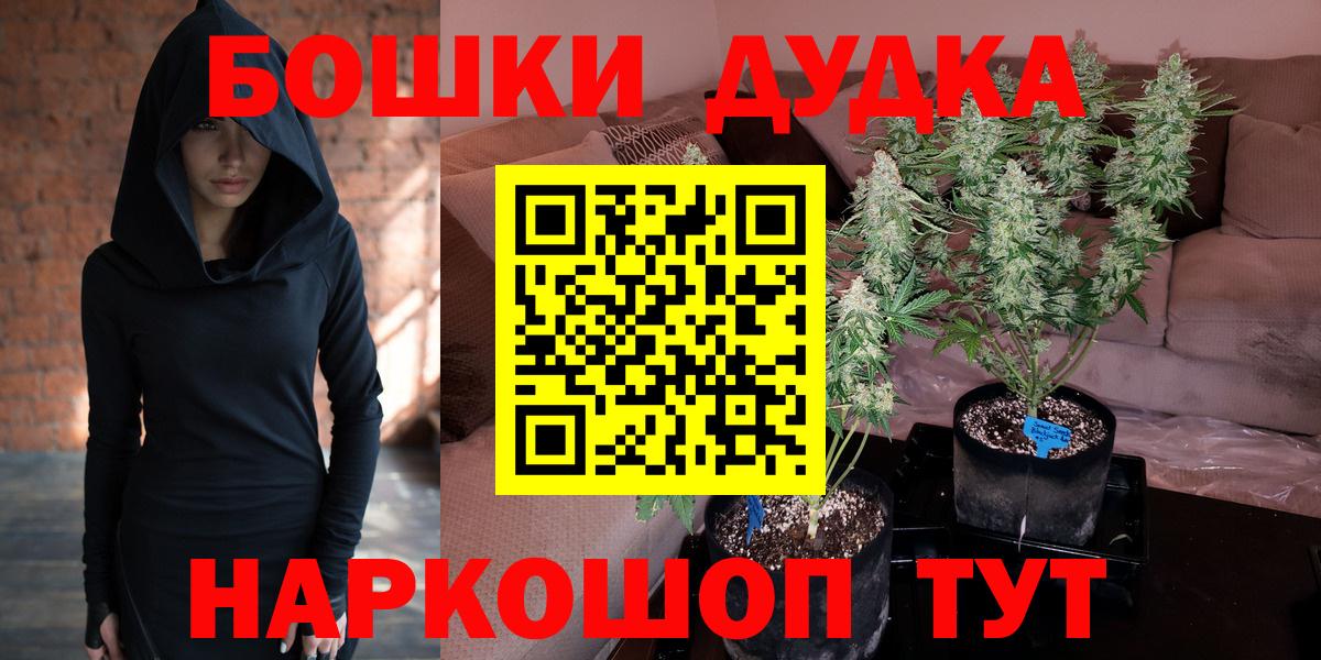 Канабис планчик Трёхгорный